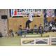 2014年AJSA全日本アマチュア・スケートボード選手権(予選、キッズ、ジュニア)-26