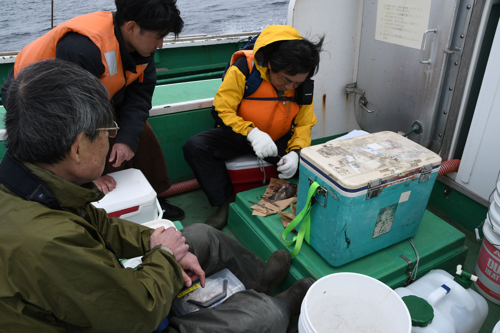 魚の採取と解剖調査