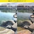 ダン シェイディーズ|RECOIL Dark Black Wood Matte x Opal Green Polarized(偏光レンズ)-6